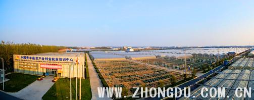 上海种都种业园区
