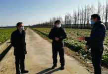 上海市农业农村委副主任叶军平赴协会副会长星辉蔬菜指导疫期蔬菜供应工作